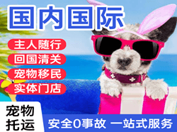 深圳宝安机场邮寄国际宠物托运 【国